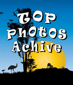 Top Photos Archive
