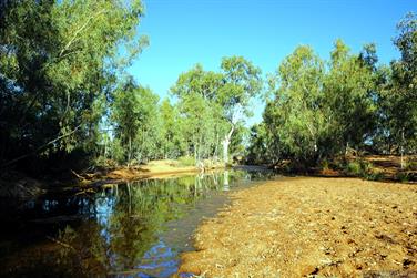 Wooramel River Crossing, Carnarvon-Mullewa Rd, Murchison, Western Australia