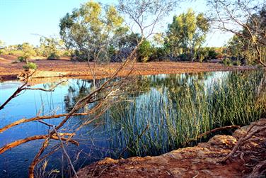 Wooramel River Crossing, Carnarvon-Mullewa Rd, Murchison, Western Australia