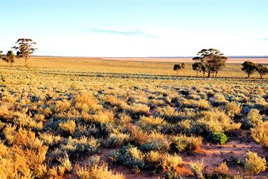 Lake Johnston, Hyden-Norseman Road, Western Australia