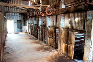 Abandoned shearing shed, Eyre Hwy, Colona Waterhole, South Australia
