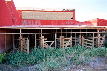 Abandoned shearing shed, Eyre Hwy, Colona Waterhole, South Australia