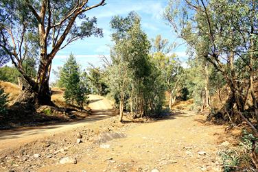 Bunyeroo Rd near Acraman Campground, Flinders Ranges, South Australia