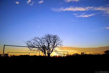 Sunrise over the cattle yards, north of Halls Creek, Western Australia