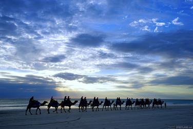 Camel ride at Cable Beach, Broome, Western Australia