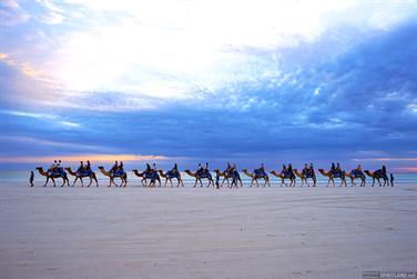 Camel ride at Cable Beach, Broome, Western Australia