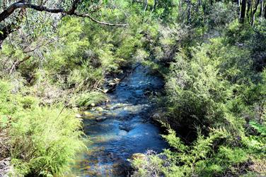 Creek at Serpentine Falls, Western Australia