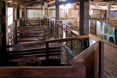 Shearing Shed, Coalfields Rd, Arthur River, Western Australia