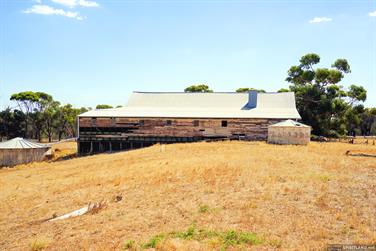 Shearing Shed, Arthur Rd, Arthur River, Western Australia