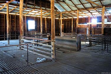 Shearing Shed, Arthur Rd, Arthur River, Western Australia