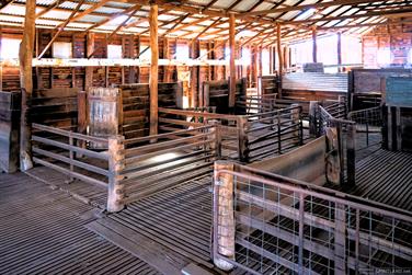 Shearing Shed, Arthur Rd, Arthur River, Western Australia