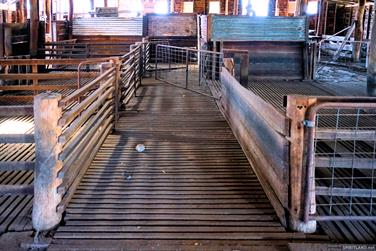 Shearing Shed, Arthur Rd, Arthur River, Western Australia