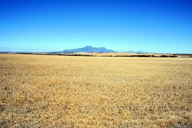 Stirlind Ranges, Borden-Bremer Bay Rd, Mojebup, Western Australia