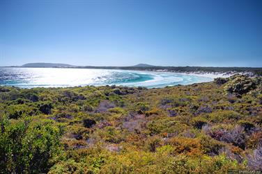 Wharton Bay, south coast, Western Australia
